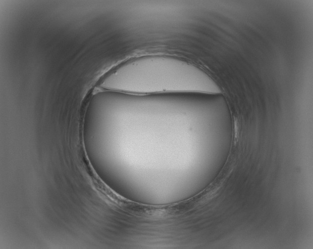 X0000051860301200506241009