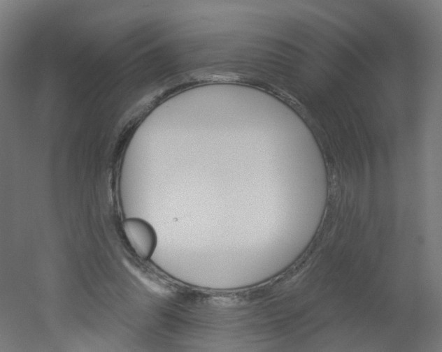 X0000051860302200506241009