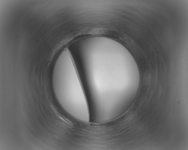 X0000051860303200506241009