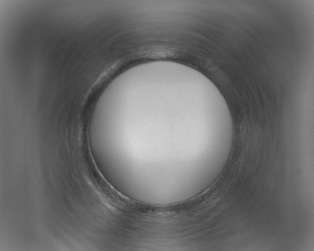 X0000051860304200506241009