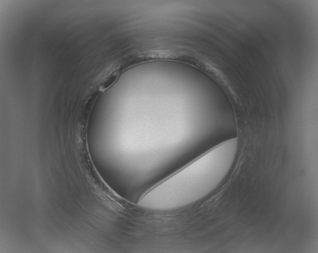 X0000051860305200506241009