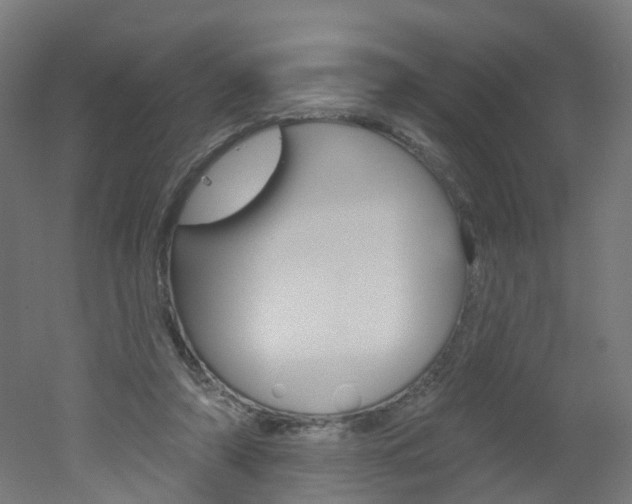 X0000051860306200506241009