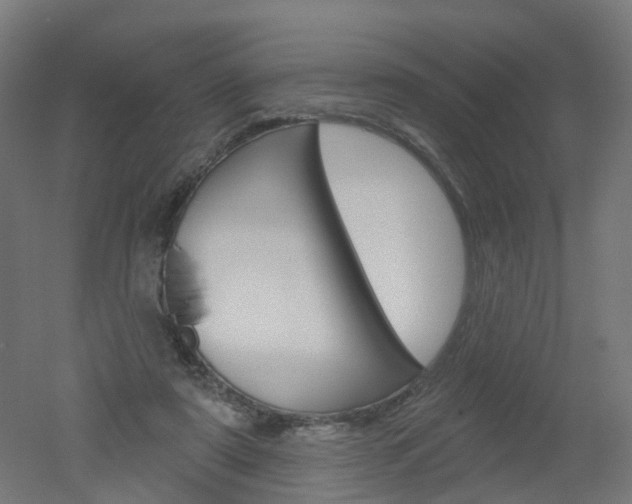 X0000051860307200506241009