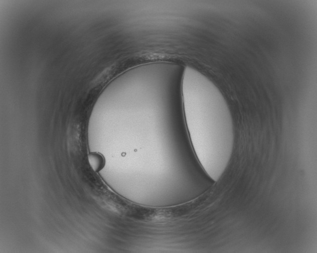 X0000051860308200506241009