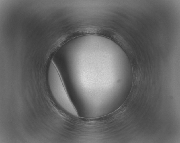 X0000051860309200506241009