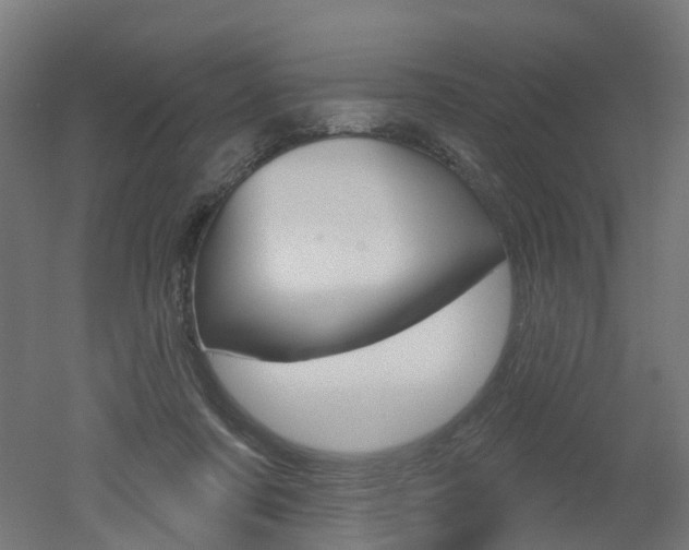 X0000051860311200506241009