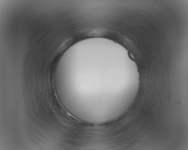 X0000051860312200506241009