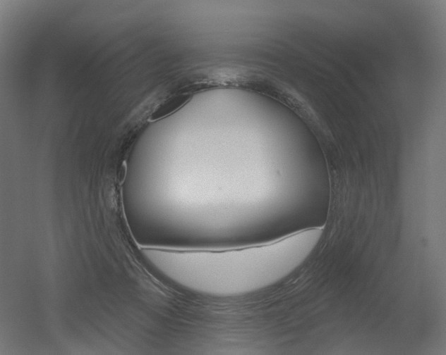 X0000051860313200506241009