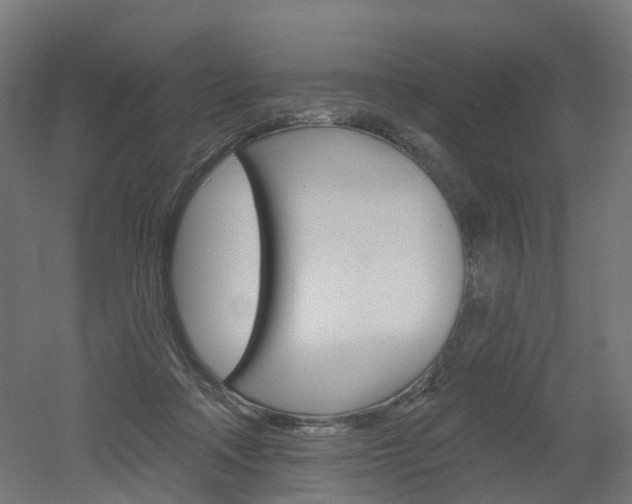 X0000051860314200506241009