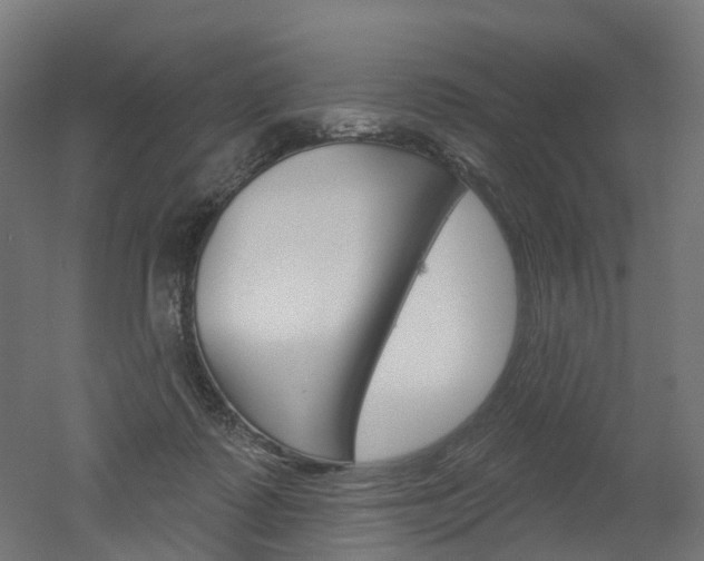 X0000051860315200506241009