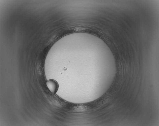 X0000051860316200506241009