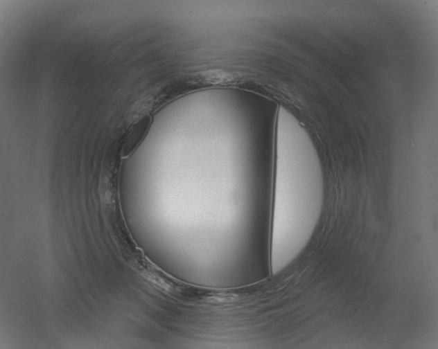 X0000051860317200506241009