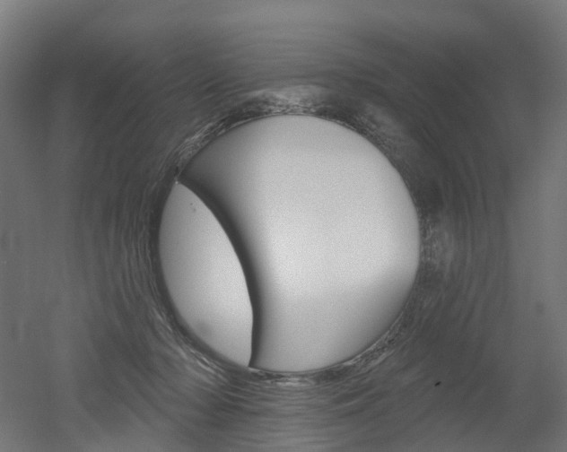 X0000051860318200506241009