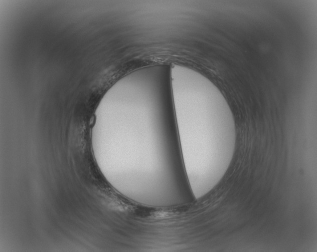 X0000051860319200506241009