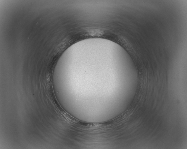 X0000051860321200506241009