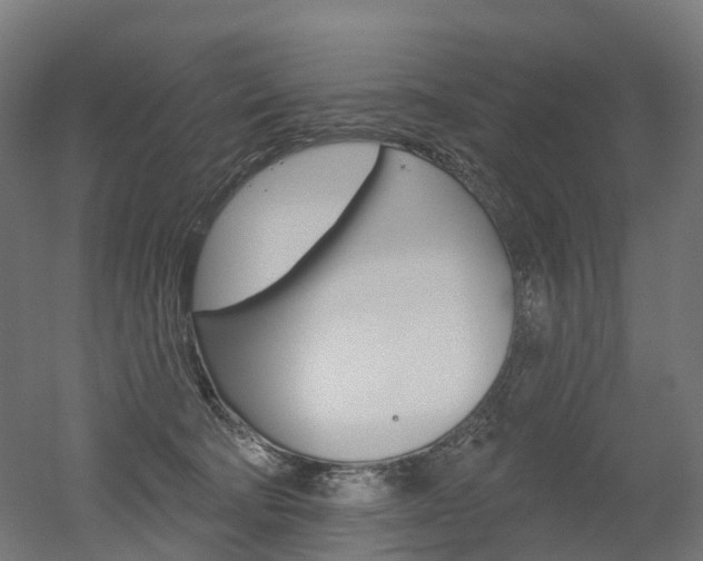 X0000051860322200506241009