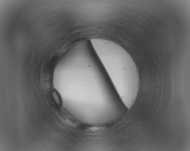 X0000051860323200506241009