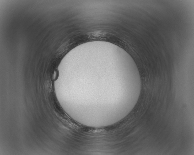 X0000051860324200506241009