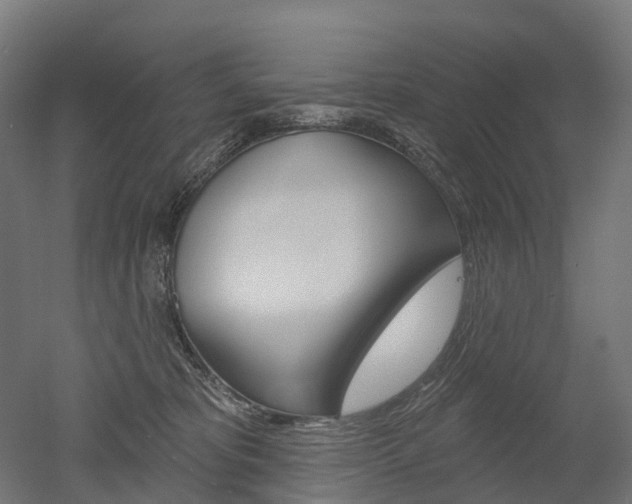 X0000051860325200506241009