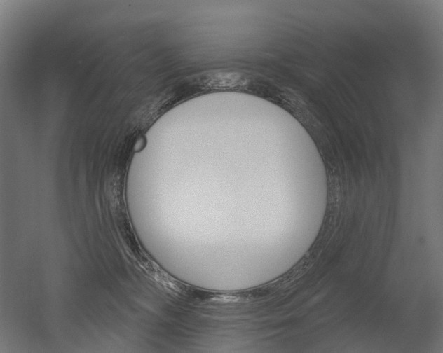 X0000051860326200506241009