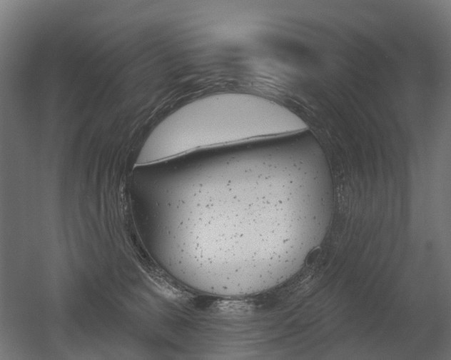 X0000051860327200506241009