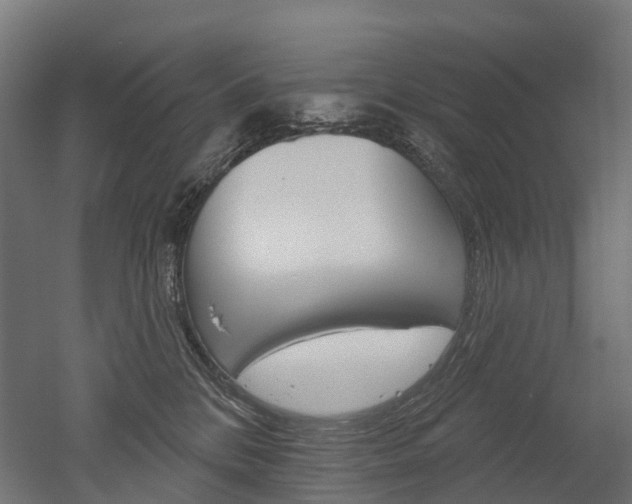 X0000051860328200506241009