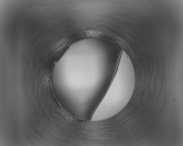 X0000051860329200506241009