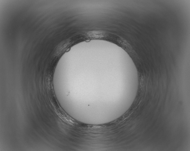 X0000051860330200506241009