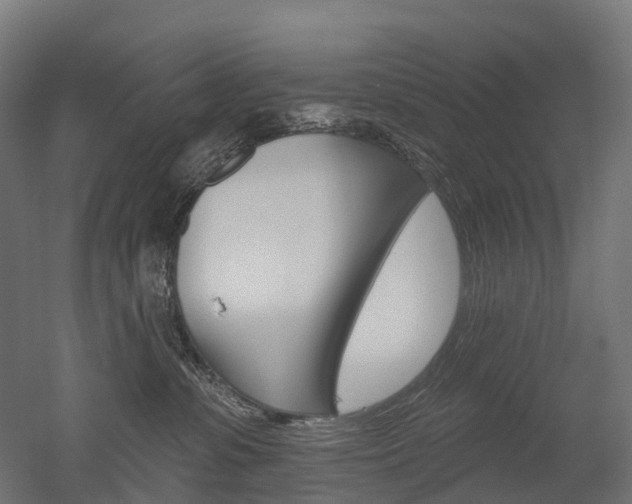 X0000051860331200506241009