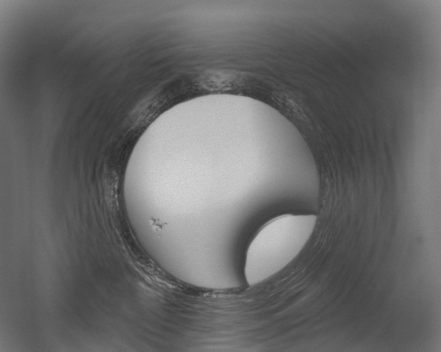 X0000051860332200506241009