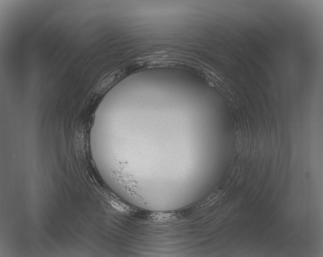 X0000051860333200506241009