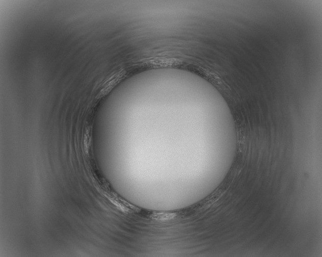 X0000051860334200506241009