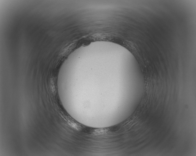 X0000051860335200506241009