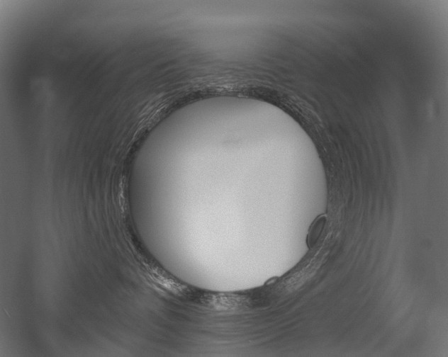 X0000051860336200506241009