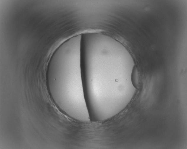 X0000051860337200506241008