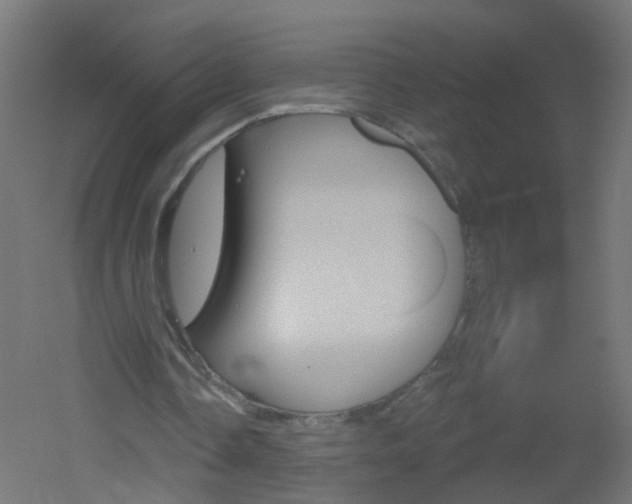 X0000051860338200506241008