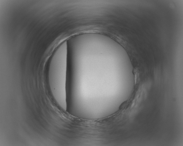 X0000051860339200506241008