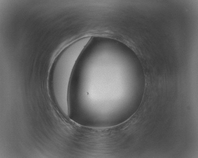 X0000051860340200506241008