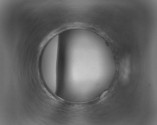 X0000051860341200506241008