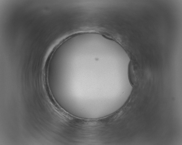 X0000051860342200506241008