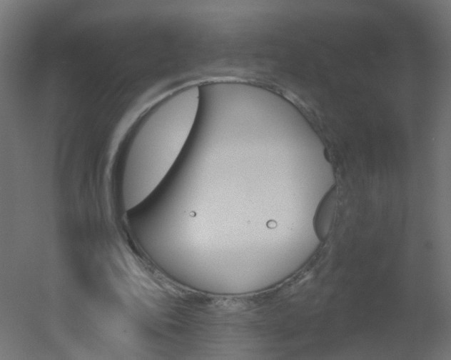 X0000051860343200506241008