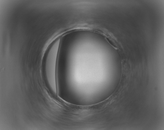 X0000051860344200506241008