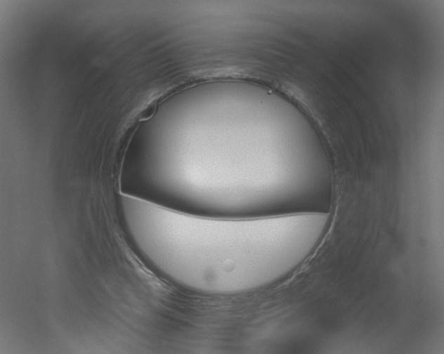 X0000051860345200506241008