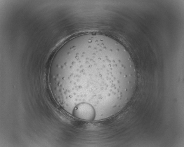 X0000051860346200506241008