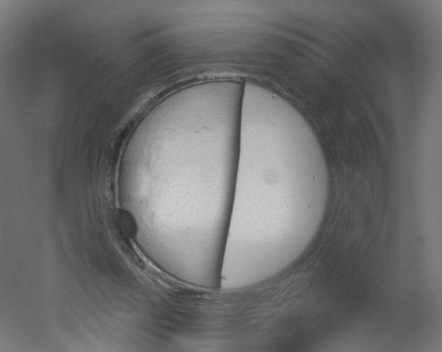 X0000051860347200506241008