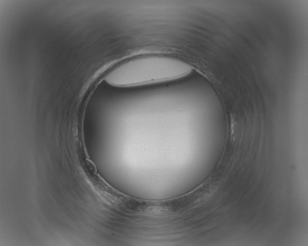 X0000051860348200506241008