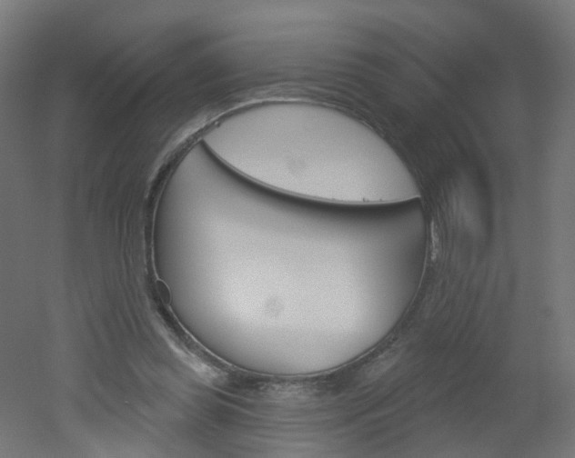 X0000051860349200506241008