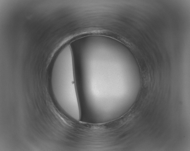 X0000051860350200506241008