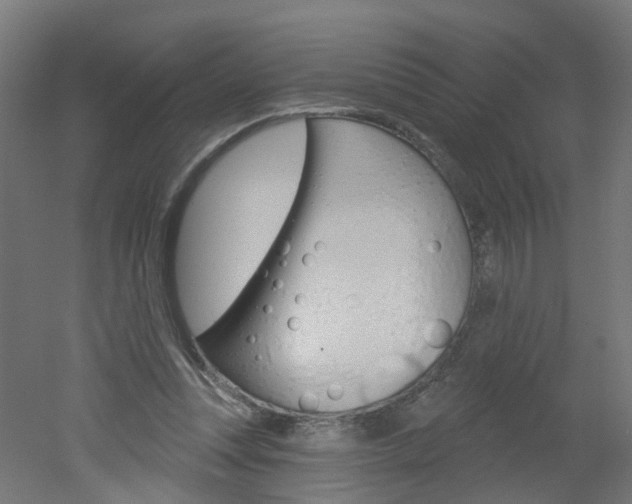 X0000051860351200506241008