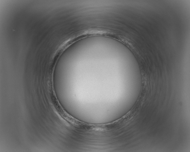 X0000051860352200506241008